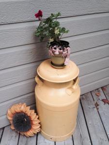 10580219_754288131301150_88001177163094717_n